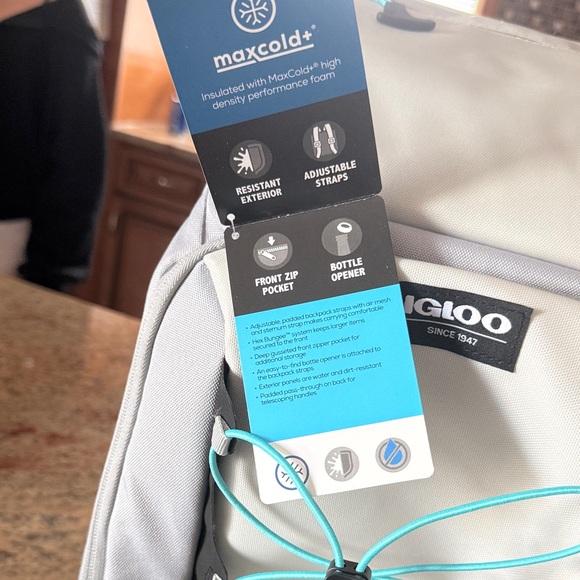 Igloo Silver and Teal Cooler Backpack - Picture 2 of 4
